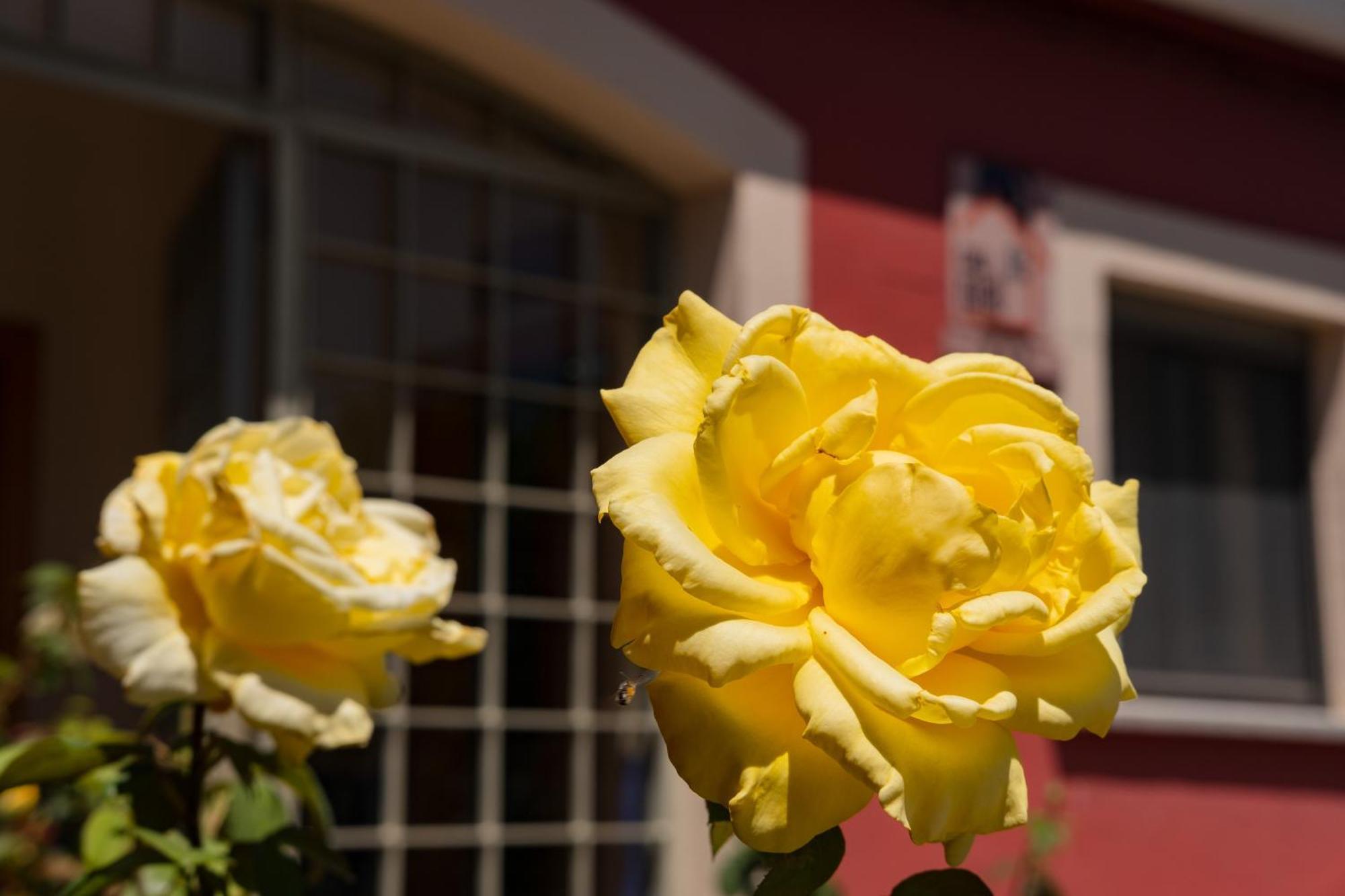 Casa Rural Rinconada La Rinconada de la Sierra Екстериор снимка